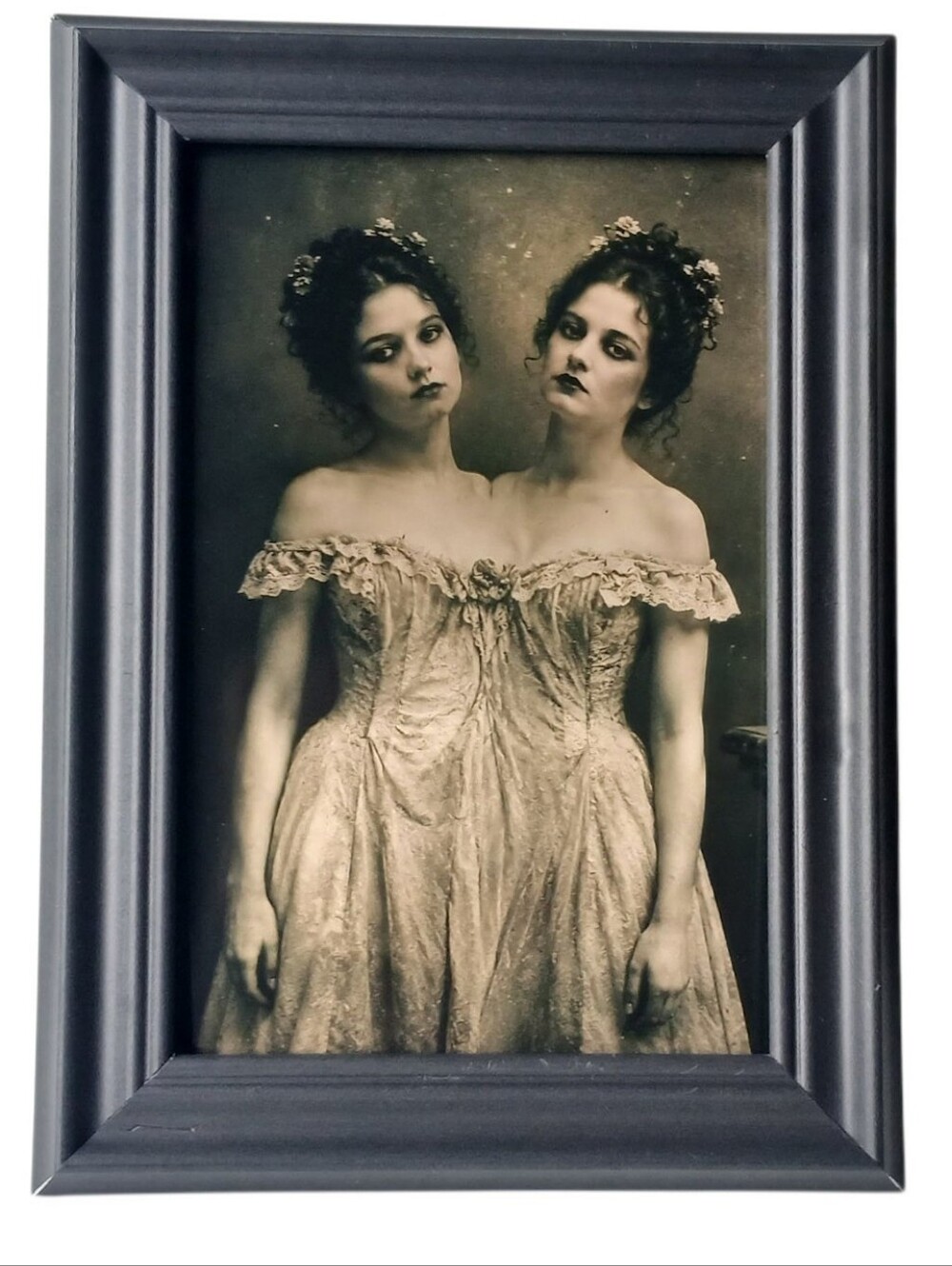 Conjoined Twins Sideshow FreakShow Oddity Freakshow Side Show Oddities Goth Art